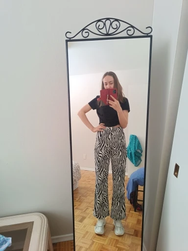 2023 Summer Zebra Print Wide Leg Pants Y2K Trousers Sexy High Waist Women New Fashion Casual Female Trousers Streetwear 16395
