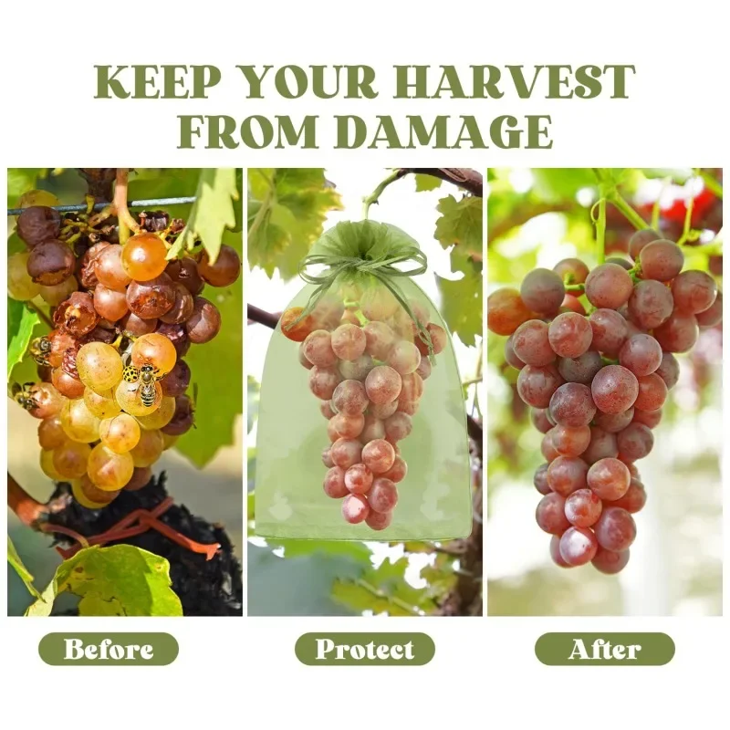 1/5/50/100Pcs Grapes Fruit Protection Bags Pest Control Anti-Bird Garden Netting Bags Mesh Agricultural Tree Garden Tool Bags