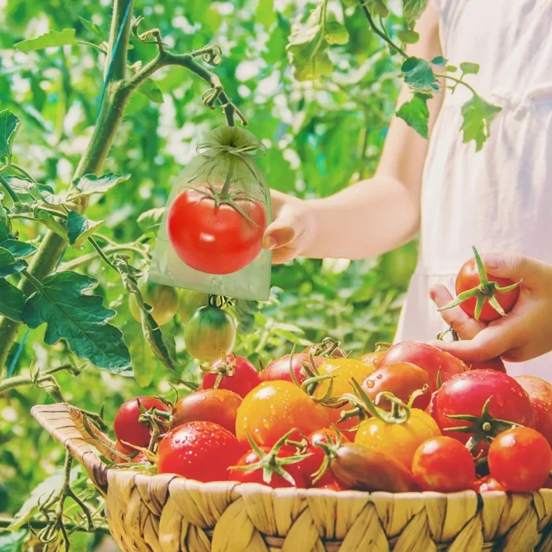 1/5/50/100Pcs Grapes Fruit Protection Bags Pest Control Anti-Bird Garden Netting Bags Mesh Agricultural Tree Garden Tool Bags