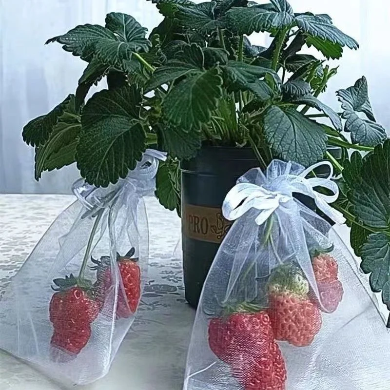 1/5/50/100Pcs Grapes Fruit Protection Bags Pest Control Anti-Bird Garden Netting Bags Mesh Agricultural Tree Garden Tool Bags