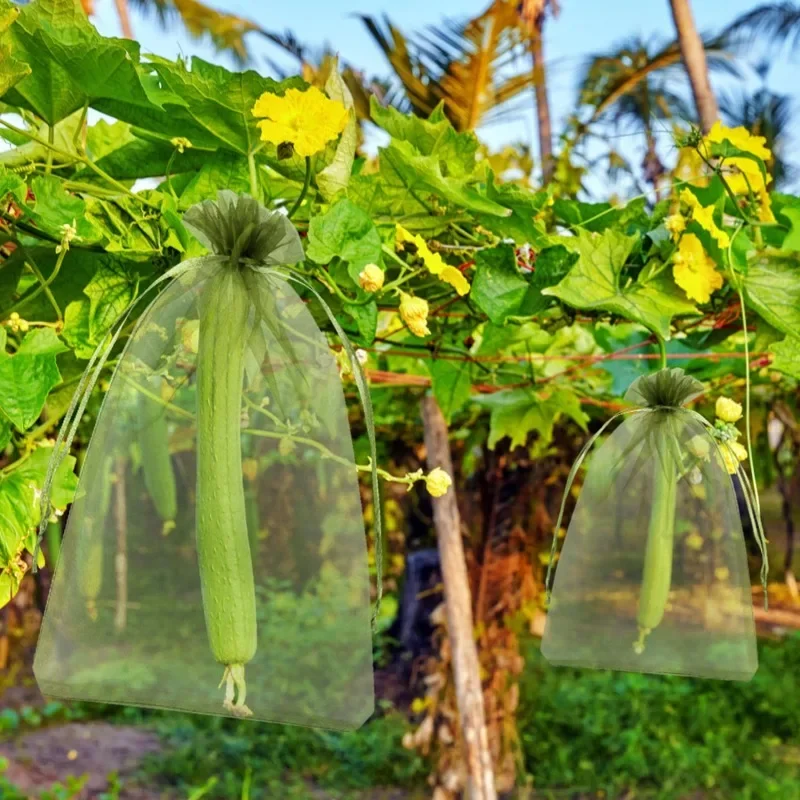 1/5/50/100Pcs Grapes Fruit Protection Bags Pest Control Anti-Bird Garden Netting Bags Mesh Agricultural Tree Garden Tool Bags