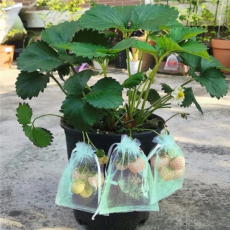 Alternative view of 1/5/50/100Pcs Grapes Fruit Protection Bags Pest Control Anti-Bird Garden Netting Bags Mesh Agricultural Tree Garden Tool Bags