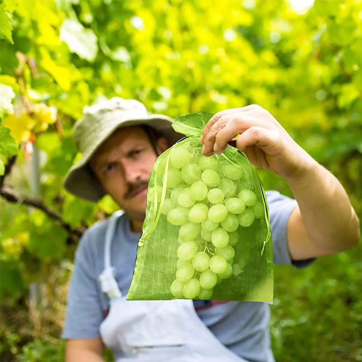 10-100pcs Plant Protection Bags Fruit Grow Bags Netting Mesh for Vegetable Strawberry Grapes Pest Control Anti-Bird Garden Tools
