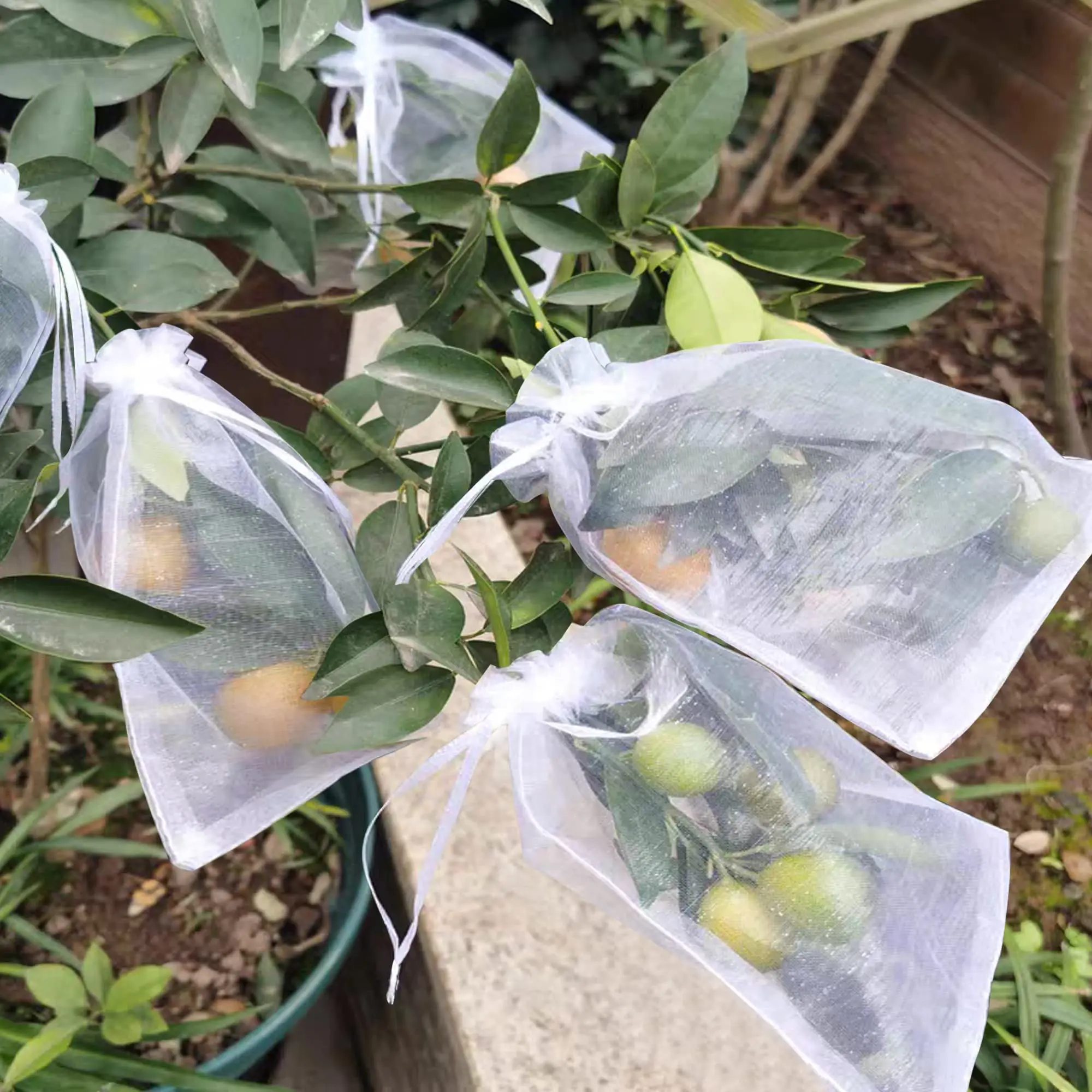 10-100pcs Plant Protection Bags Fruit Grow Bags Netting Mesh for Vegetable Strawberry Grapes Pest Control Anti-Bird Garden Tools