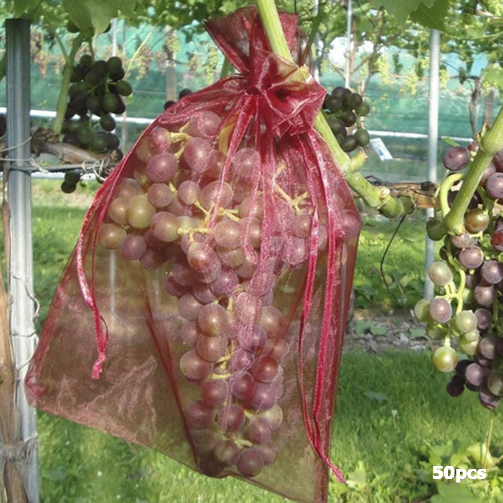 20-100pcs Strawberry Grapes Fruit Grow Bags Netting Mesh Vegetable Plant Protection Bags For Pest Control Anti-Bird Garden Tools