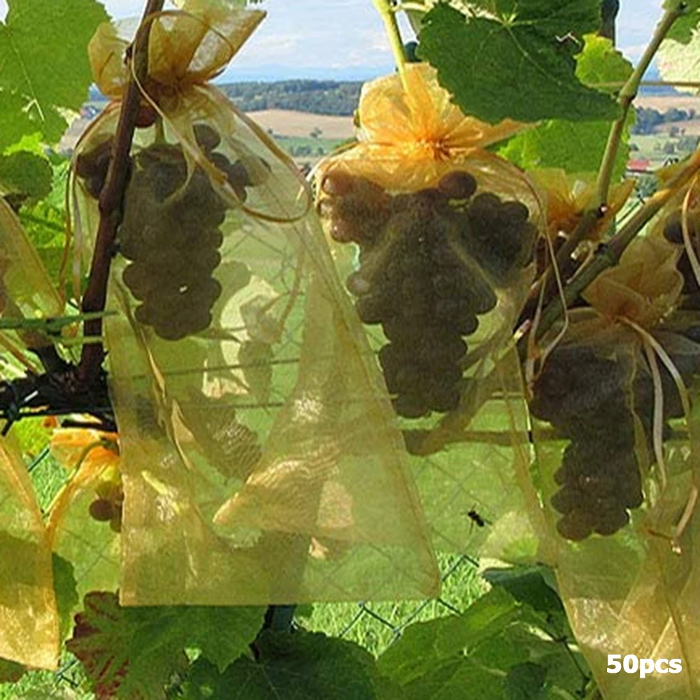 20-100pcs Strawberry Grapes Fruit Grow Bags Netting Mesh Vegetable Plant Protection Bags For Pest Control Anti-Bird Garden Tools