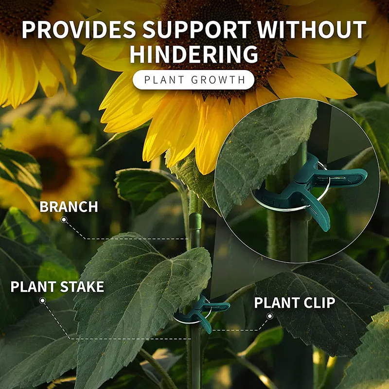 Alternative view of 200Pcs Plant Fixed Clips Reusable Greenhouse Bracket forFixing Stems of Flower Vine Vegetables Tomatoes Fastener Garden Supplies
