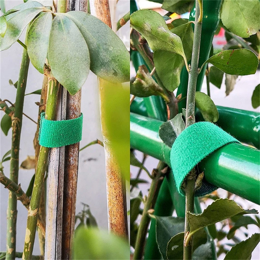 Alternative view of 3/5pcs Plant Potted Magic Tape Bandage Plant Growth Green Fixed Bandage DIY Gardening Tools Magic Tapes Fixed Strap