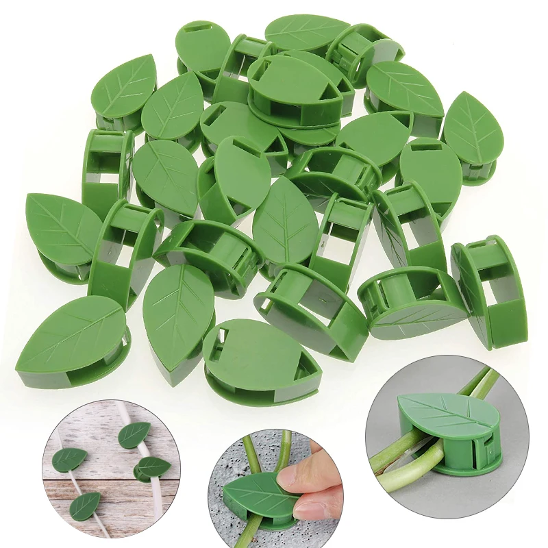 Alternative view of Invisible Plant Climbing Wall Fixture Rattan Vine Bracket Fixed Buckle Leaf Clips Traction Holder Garden опора для растений