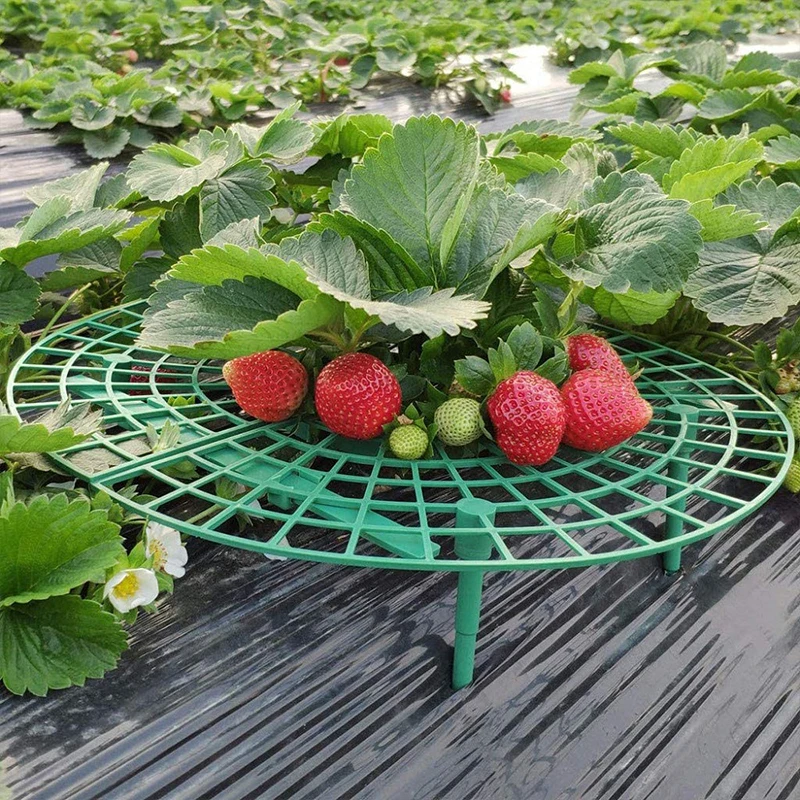 Alternative view of Strawberry Supports Keeping Plant Fruit Stand Vegetable Growing Rack Garden Tools for Protecting Vines Avoid Ground Gardening