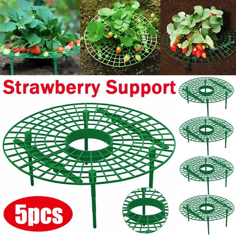 Strawberry Supports Keeping Plant Fruit Stand Vegetable Growing Rack Garden Tools for Protecting Vines Avoid Ground Gardening
