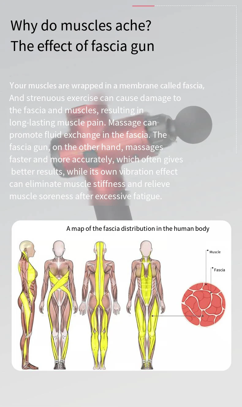 Homefish LCD Display Massage Gun Deep Muscle Massager Body Neck Massage Exercising Relaxation 12V 30Gears Professional Massage Homefish LCD Display Massage Gun Deep Muscle Massager Body Neck Massage Exercising Relaxation 12V 30Gears Professional Massage